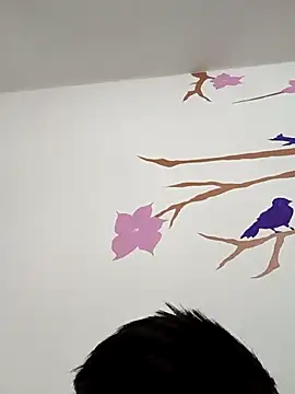 DavidVergagigante420 online show from December 17, 2025, 7:25 am