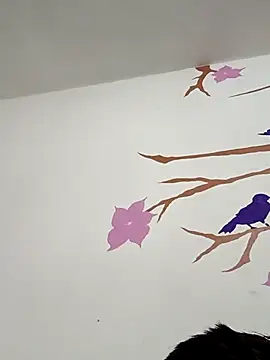 DavidVergagigante420 online show from February 5, 2026, 5:12 am