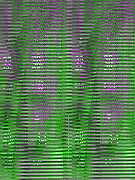 riyaroy134  online show from September 18, 2025, 5:31 am