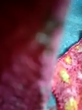 Sharmili xx online show from September 25, 2025, 8:23 pm