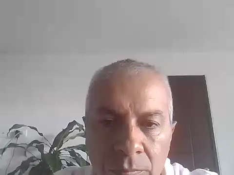 Snapshot of ALFRERM chatting on October 12, 2025, 7:35 pm ALFRERM online show from October 12, 2025, 7:35 pm