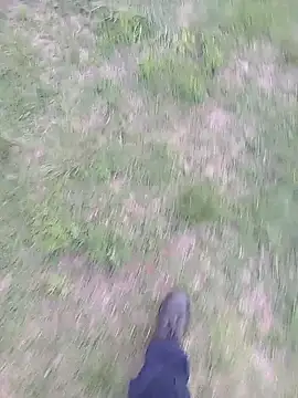 Snapshot of Pondo10 chatting on November 13, 2025, 3:55 pm Pondo10 online show from November 13, 2025, 3:55 pm