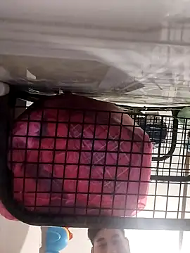 Ferxxxo1503 online show from November 5, 2025, 6:24 am