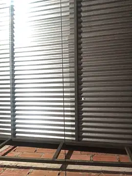 elpeluchenegroxxx3 online show from February 13, 2026, 3:13 am