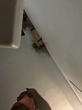 Snapshot of littyleesh1 chatting on April 14, 2026, 4:29 am littyleesh1 online show from April 14, 2026, 4:29 am