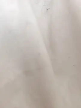 mecchauddu14 online show from September 14, 2025, 12:37 pm