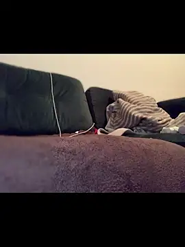 Immerhartundgeil online show from April 11, 2026, 6:56 pm