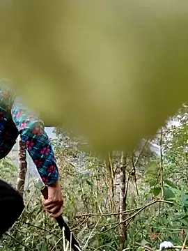 kemtuoi-sex online show from April 11, 2026, 10:19 am