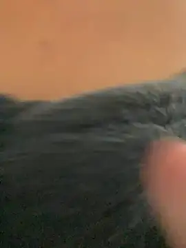    seusegredo online show from February 4, 2026, 6:03 pm