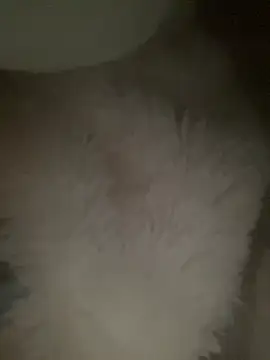 Snapshot of ruiki666 chatting on March 9, 2026, 8:07 am ruiki666 online show from March 9, 2026, 8:07 am