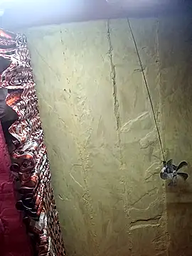 Snapshot of Suman_ji1 chatting on November 27, 2025, 9:06 pm Suman ji1 online show from November 27, 2025, 9:06 pm