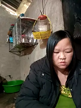 Snapshot of riso-00 chatting on January 9, 2026, 6:49 am riso-00 online show from January 9, 2026, 6:49 am