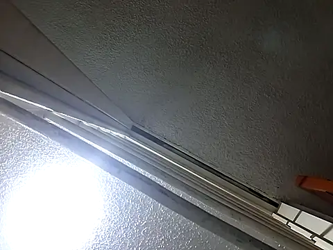 Aliciabloom online show from November 6, 2025, 1:01 pm