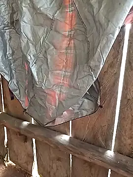 bonnie-00 online show from November 4, 2025, 3:16 am