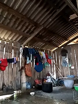 Snapshot of bonnie-00 chatting on February 15, 2026, 2:19 am bonnie-00 online show from February 15, 2026, 2:19 am