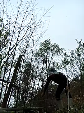 Snapshot of bonnie-00 chatting on March 24, 2026, 2:38 am bonnie-00 online show from March 24, 2026, 2:38 am