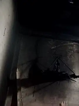 Snapshot of Dung_x chatting on January 10, 2026, 1:02 pm Dung x online show from January 10, 2026, 1:02 pm