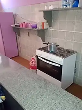 Cachorrinha2025 online show from November 23, 2025, 2:50 pm