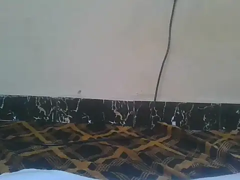 Naughty queen20 online show from April 13, 2026, 7:47 am