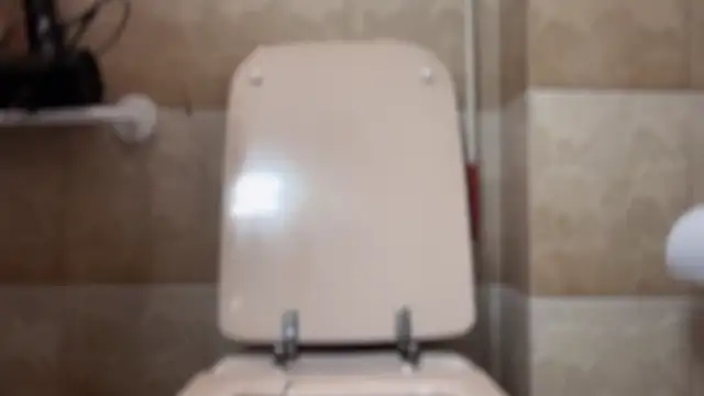 Chaserlovebear online show from November 1, 2025, 1:51 am