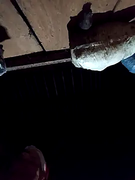 callistra online show from December 2, 2025, 2:56 pm