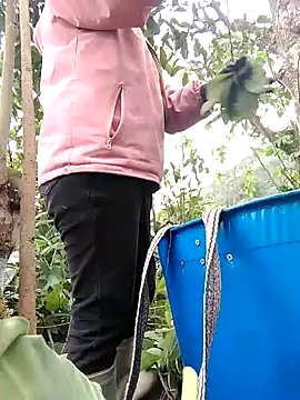 Biu xx online show from February 3, 2026, 8:08 am