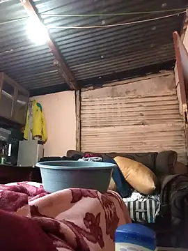 horsepower1988 online show from September 25, 2025, 9:24 am