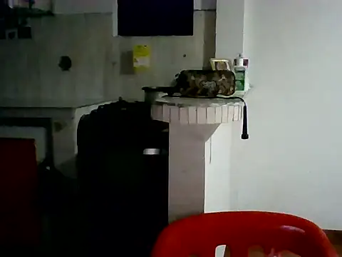 Snapshot of XavierFox1 chatting on November 18, 2025, 3:45 am XavierFox1 online show from November 18, 2025, 3:45 am