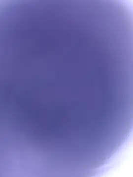 pussybebi online show from February 22, 2026, 10:58 am