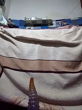 Snapshot of calntt28 chatting on February 12, 2026, 2:12 pm calntt28 online show from February 12, 2026, 2:12 pm