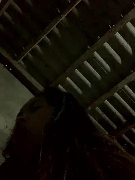 Halyy xx online show from January 12, 2026, 11:54 pm