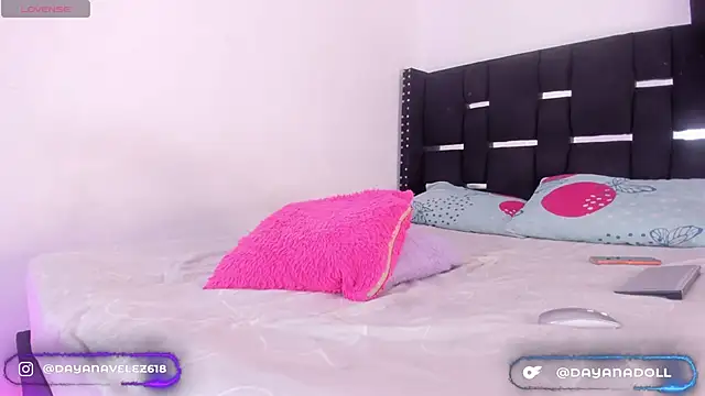 Snapshot of DAYANNAVELEZ chatting on February 18, 2026, 8:49 pm DAYANNAVELEZ online show from February 18, 2026, 8:49 pm