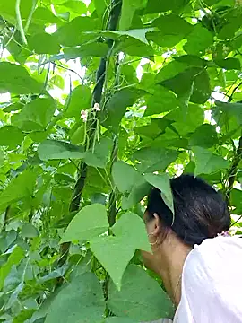 diamond-- online show from October 5, 2025, 12:31 am