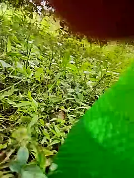 telugumodda4396 online show from October 24, 2025, 7:49 am