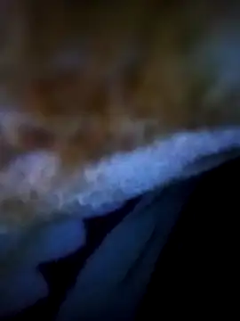 Snapshot of alone_boy802 chatting on November 5, 2025, 12:54 am alone boy802 online show from November 5, 2025, 12:54 am