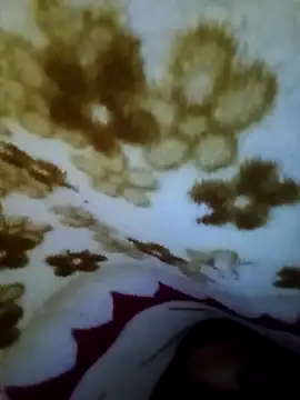 Snapshot of alone_boy802 chatting on November 8, 2025, 7:30 am alone boy802 online show from November 8, 2025, 7:30 am