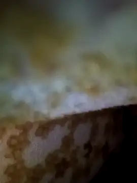 Snapshot of alone_boy802 chatting on November 9, 2025, 1:15 am alone boy802 online show from November 9, 2025, 1:15 am