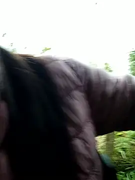 abigail-00 online show from December 14, 2025, 9:25 am