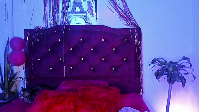 kitty  chs online show from March 1, 2026, 4:36 am