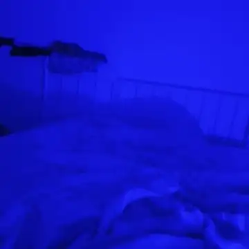 Geilerboy262 online show from November 9, 2025, 12:42 am