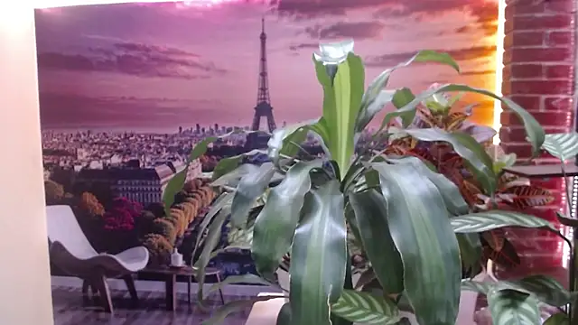 Jazmin ph online show from November 1, 2025, 4:09 pm