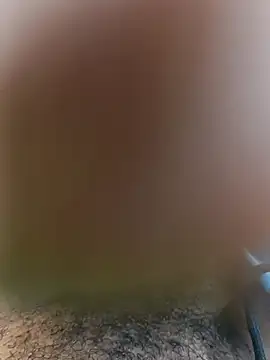 Mohamed234897 online show from November 23, 2025, 2:28 pm