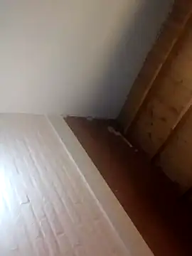 geroyema online show from September 24, 2025, 4:27 am