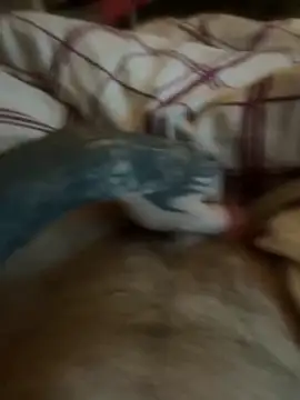 Thebald-topher online show from September 28, 2025, 11:10 pm