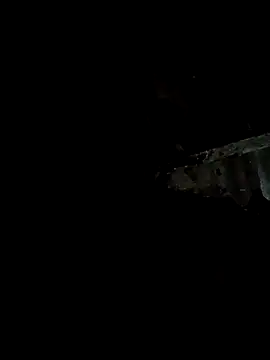 Snapshot of bree-zz chatting on January 11, 2026, 10:37 pm bree-zz online show from January 11, 2026, 10:37 pm