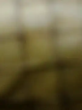 Rs sonam online show from December 3, 2025, 10:57 am