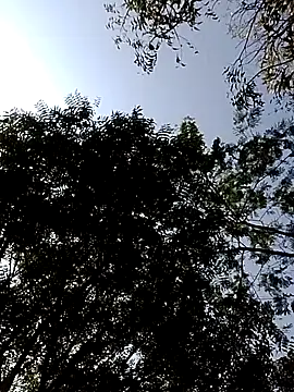 Rs sonam online show from February 14, 2026, 3:47 am