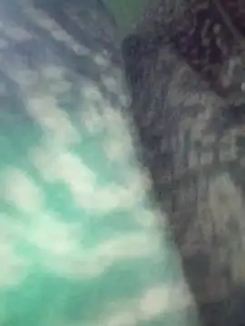 Na shreya online show from March 29, 2026, 12:21 am