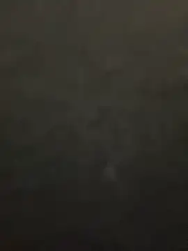 lee ly online show from December 15, 2025, 11:36 am