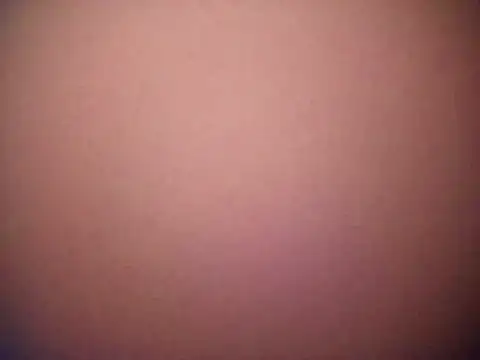 Arab-xxxx online show from March 20, 2026, 10:14 pm